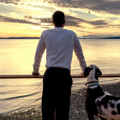 rear-view-of-man-and-adoring-pet-dog-enjoying-sea-2023-11-27-05-30-28-utc